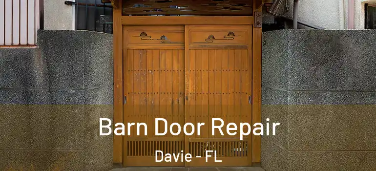  Barn Door Repair Davie - FL