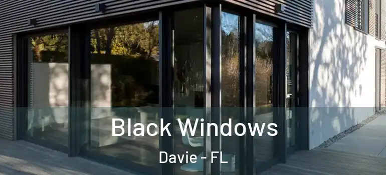  Black Windows Davie - FL