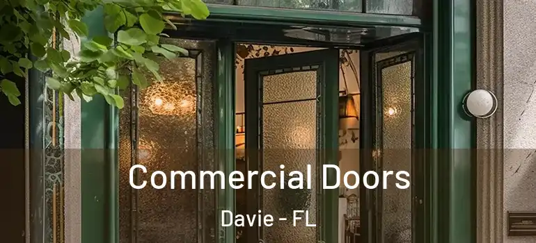  Commercial Doors Davie - FL