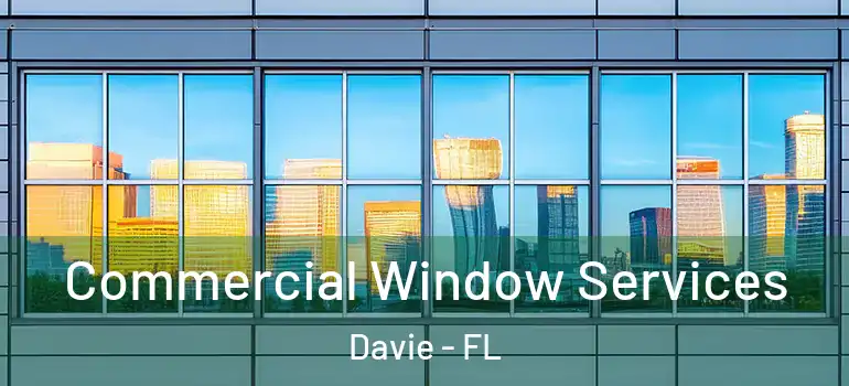  Commercial Window Services Davie - FL