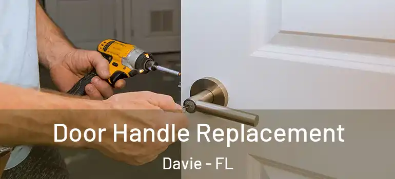  Door Handle Replacement Davie - FL