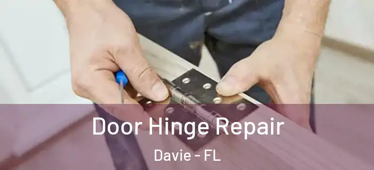  Door Hinge Repair Davie - FL