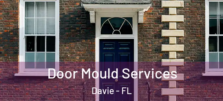  Door Mould Services Davie - FL