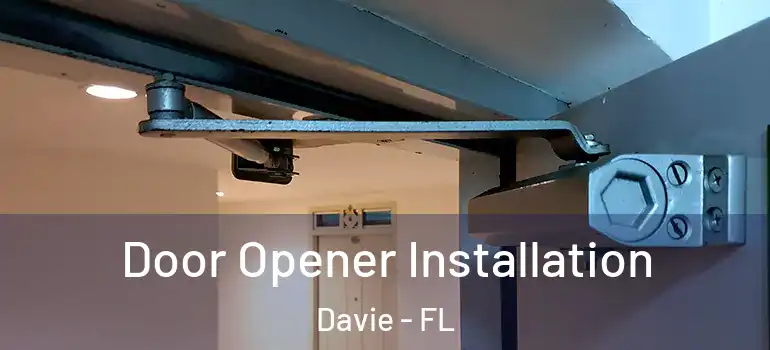  Door Opener Installation Davie - FL