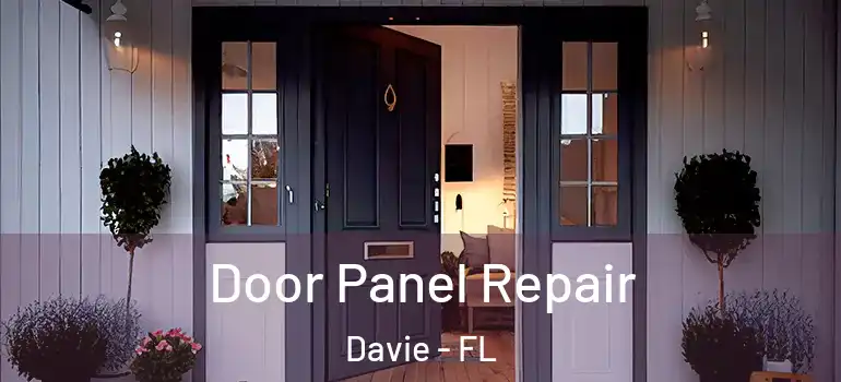  Door Panel Repair Davie - FL