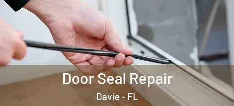  Door Seal Repair Davie - FL