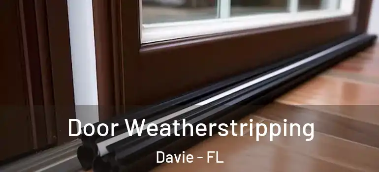  Door Weatherstripping Davie - FL