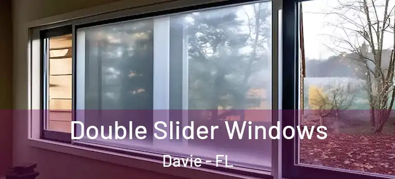  Double Slider Windows Davie - FL