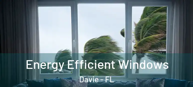  Energy Efficient Windows Davie - FL