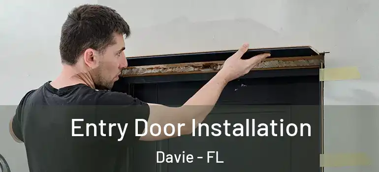  Entry Door Installation Davie - FL