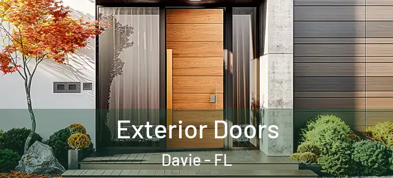  Exterior Doors Davie - FL