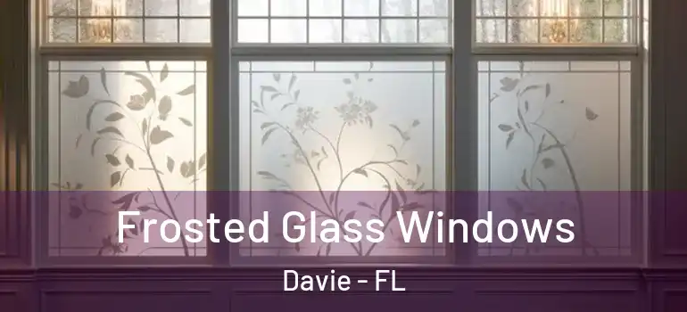  Frosted Glass Windows Davie - FL