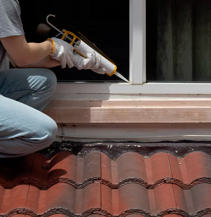 Roof Window Services in Davie, Florida