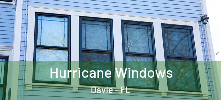  Hurricane Windows Davie - FL