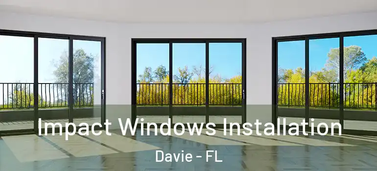  Impact Windows Installation Davie - FL