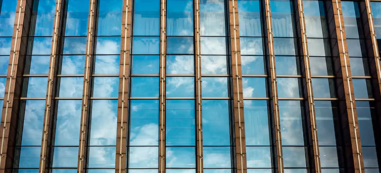 Professional Window Tinting Services in Davie, FL