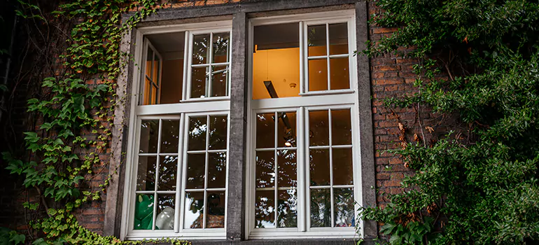 Energy Efficient Wood Windows in Davie, FL