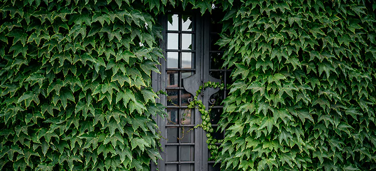 Garden Gate Repair in Davie, FL