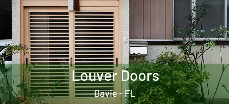  Louver Doors Davie - FL
