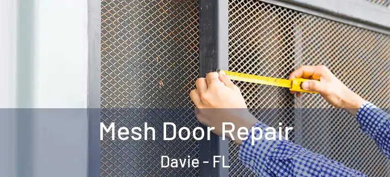  Mesh Door Repair Davie - FL