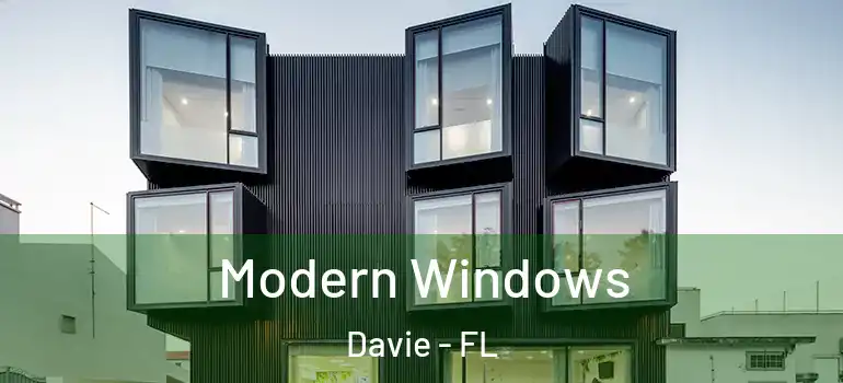  Modern Windows Davie - FL