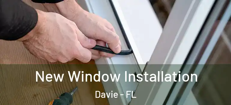  New Window Installation Davie - FL