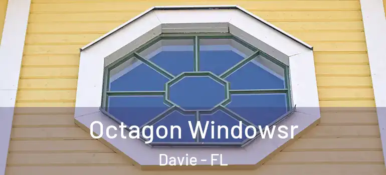  Octagon Windowsr Davie - FL
