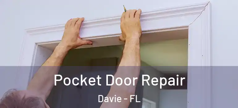  Pocket Door Repair Davie - FL