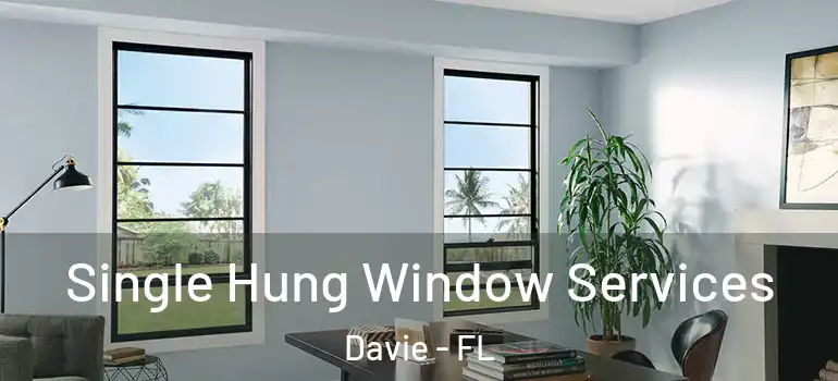  Single Hung Window Services Davie - FL