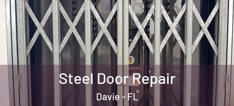  Steel Door Repair Davie - FL