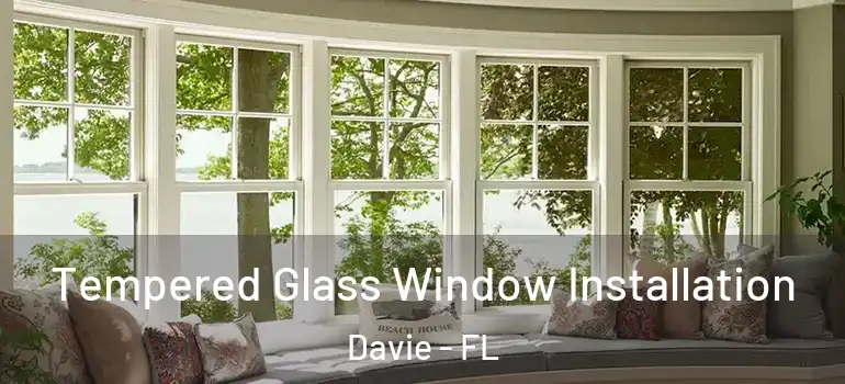  Tempered Glass Window Installation Davie - FL
