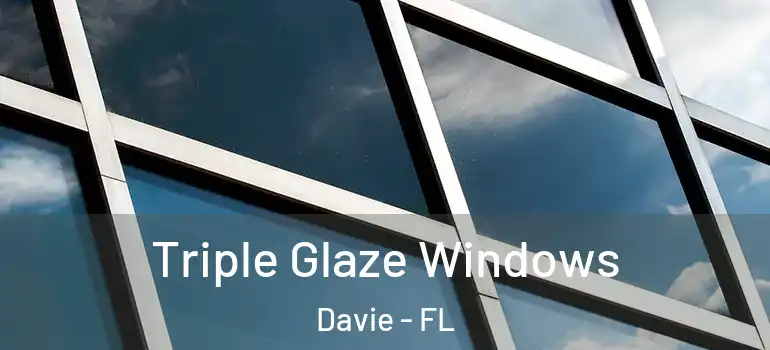  Triple Glaze Windows Davie - FL
