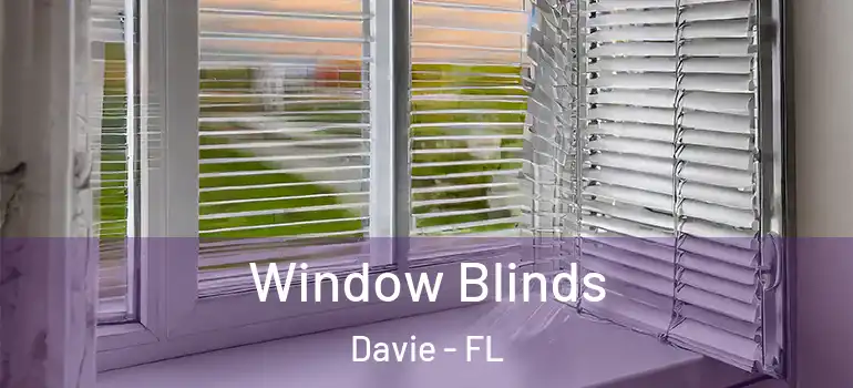  Window Blinds Davie - FL