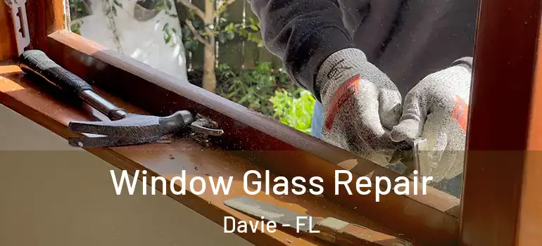  Window Glass Repair Davie - FL