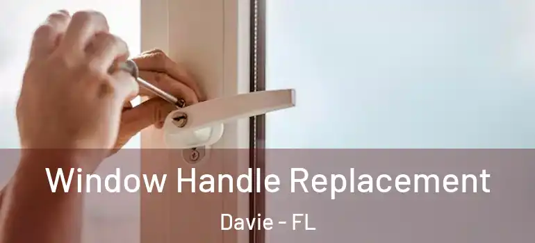  Window Handle Replacement Davie - FL