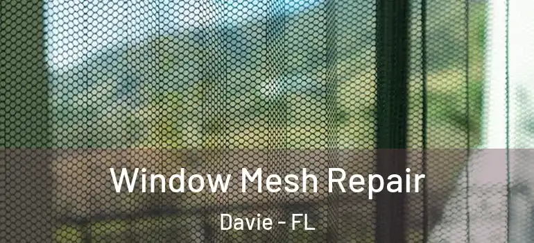  Window Mesh Repair Davie - FL