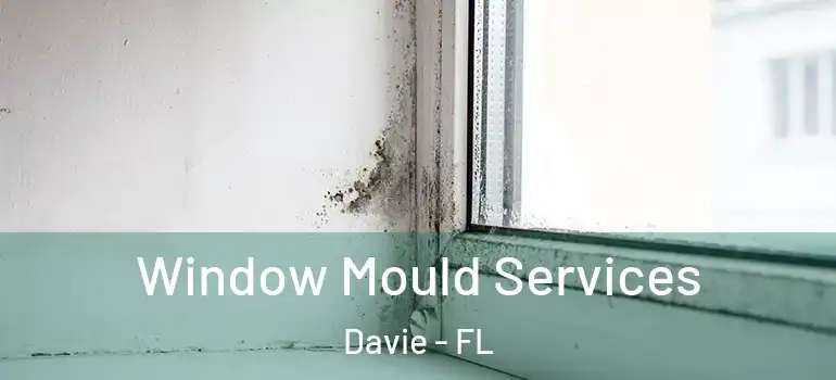  Window Mould Services Davie - FL