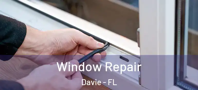  Window Repair Davie - FL