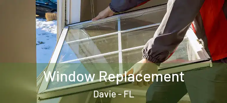  Window Replacement Davie - FL