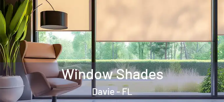  Window Shades Davie - FL