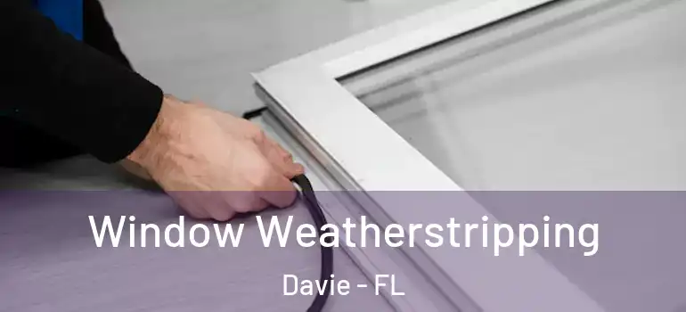  Window Weatherstripping Davie - FL
