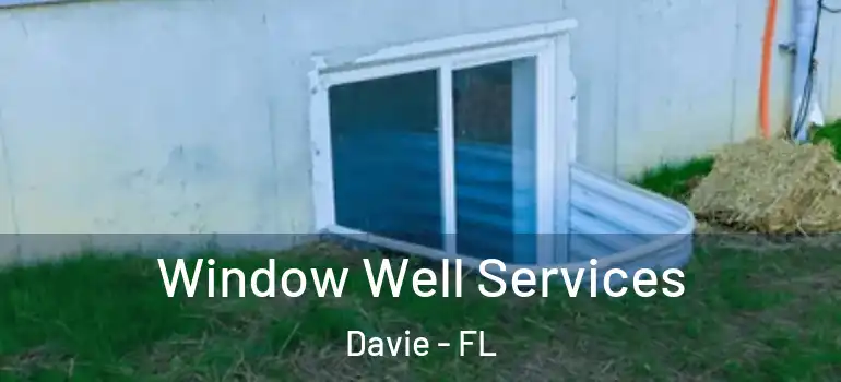  Window Well Services Davie - FL