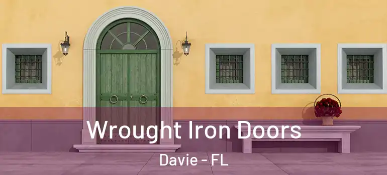  Wrought Iron Doors Davie - FL